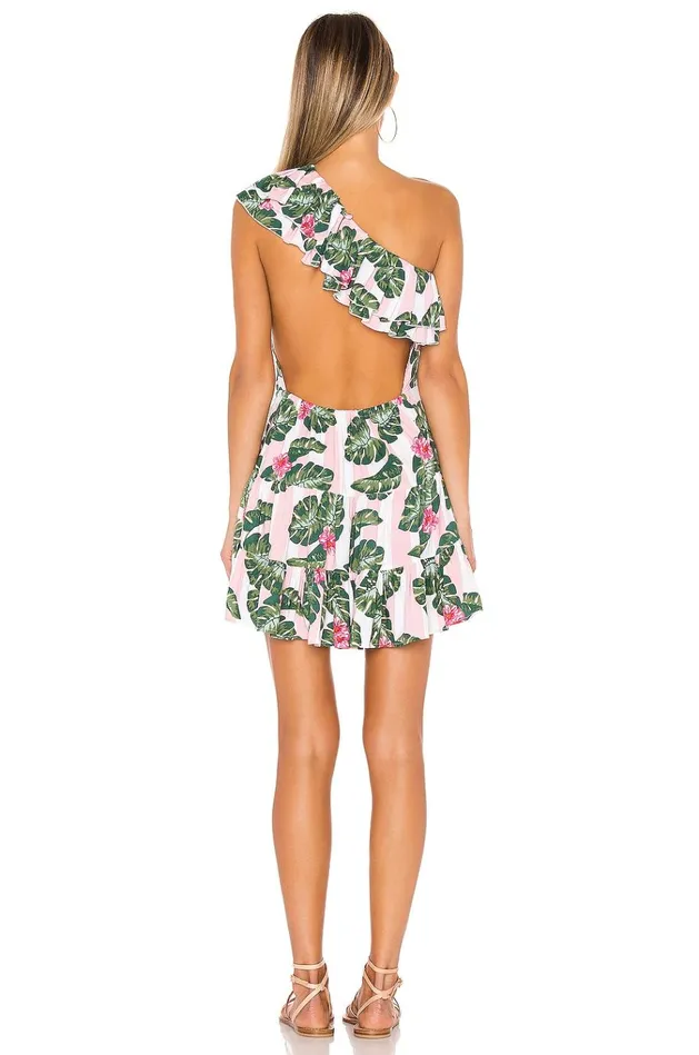 Amity Mini Dress Pink Palm Stripe Women Lovers Friends Swimwear