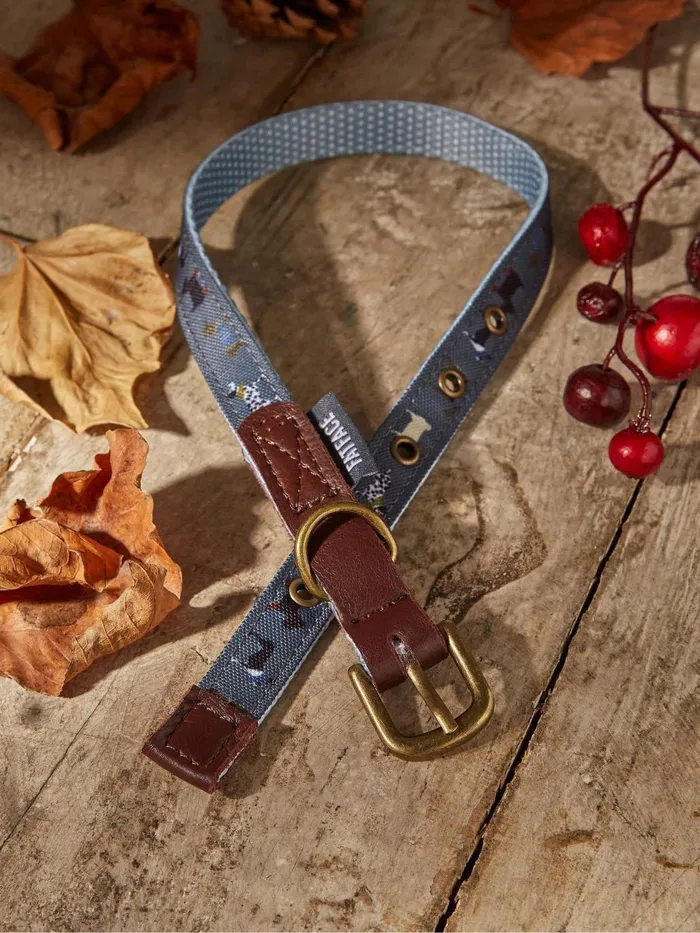 Fat Face Grey Dogs Small Collar Pet Accessories