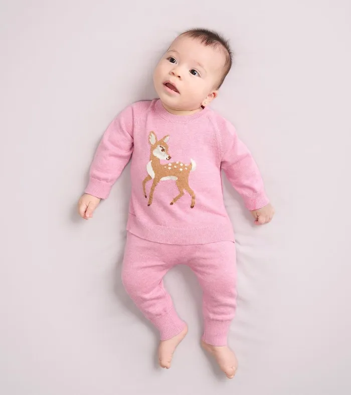 Hatley Sweaters Baby and Toddler Baby Girls Baby Doe Pullover Sweater and Pants