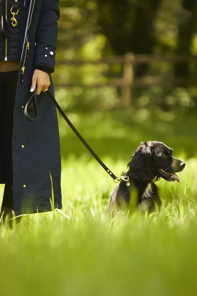 HC Slim Dog Lead Black Women Holland Cooper Dog Leads
