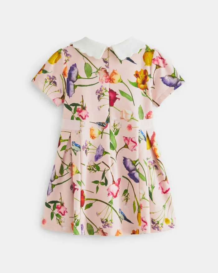 Kids DAYNICA 8211 Floral Print Collared Ponte Dress Pink Ted Baker Dresses
