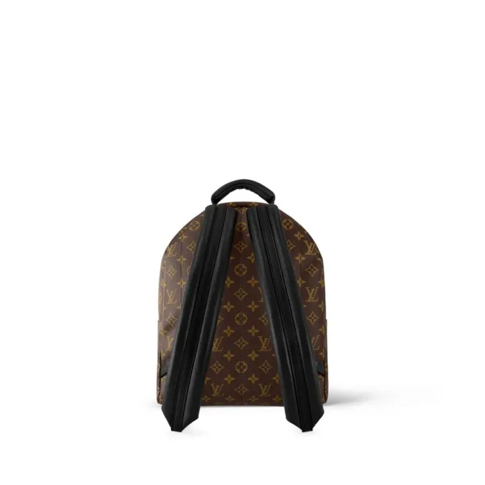 Louis Vuitton Monogram M44874 Palm Springs MM 8211 Louis Vuitton Handbag Store Women Louis Vuitton Backpacks