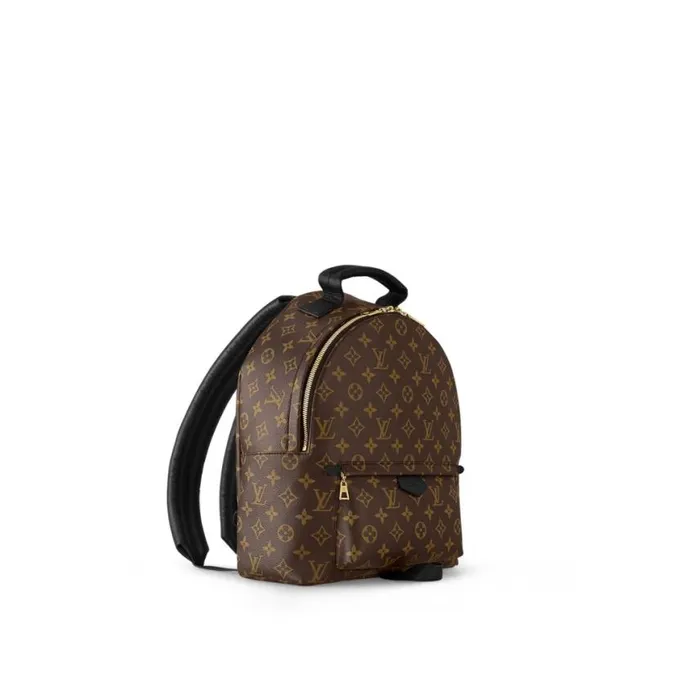 Louis Vuitton Monogram M44874 Palm Springs MM 8211 Louis Vuitton Handbag Store Women Louis Vuitton Backpacks