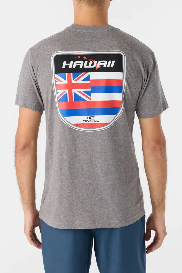 O039NEILL HAWAII BADGE STANDARD FIT TEE Heather Grey Men Clothing
