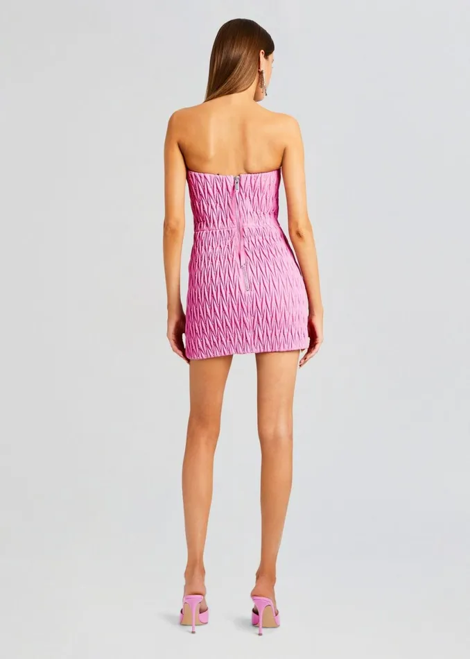 Retrofete Dresses Vianne Embellished Leather Dress Begonia Pink 8211 Women
