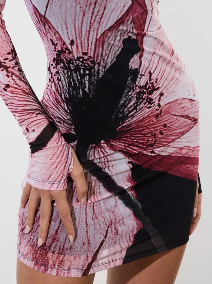 Women Alice Olivia Dresses Dorinda Mini Dress Luna Floral