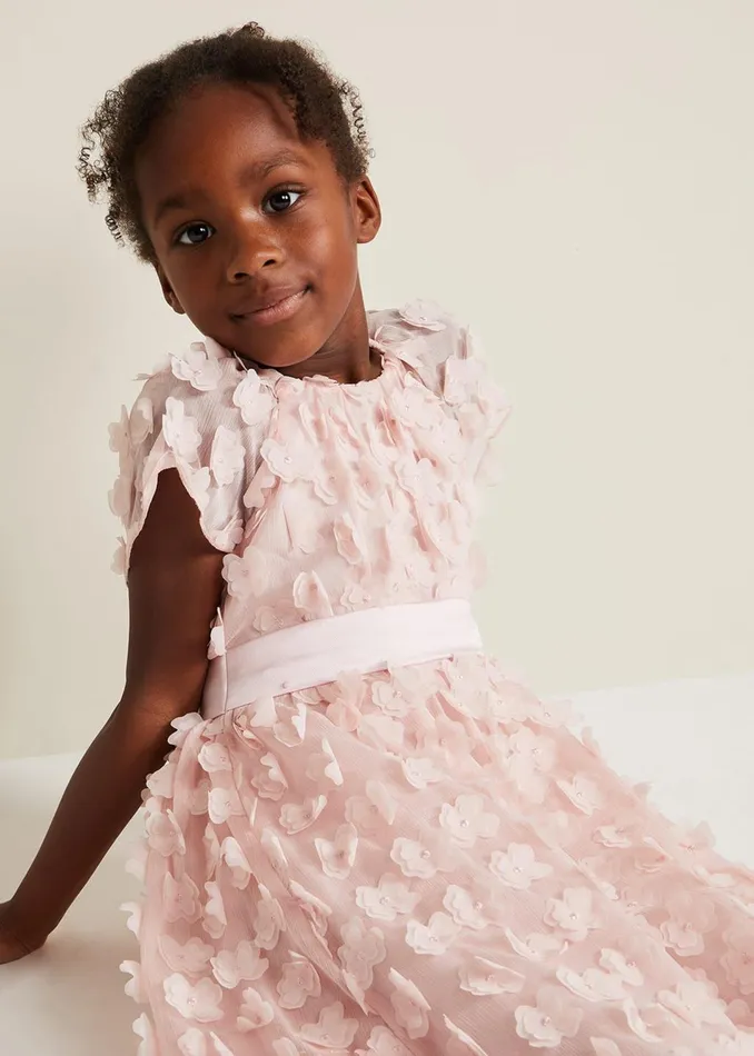 WomenGirls Phase Eight Dresses Alice Flower Fit And Flare Dress