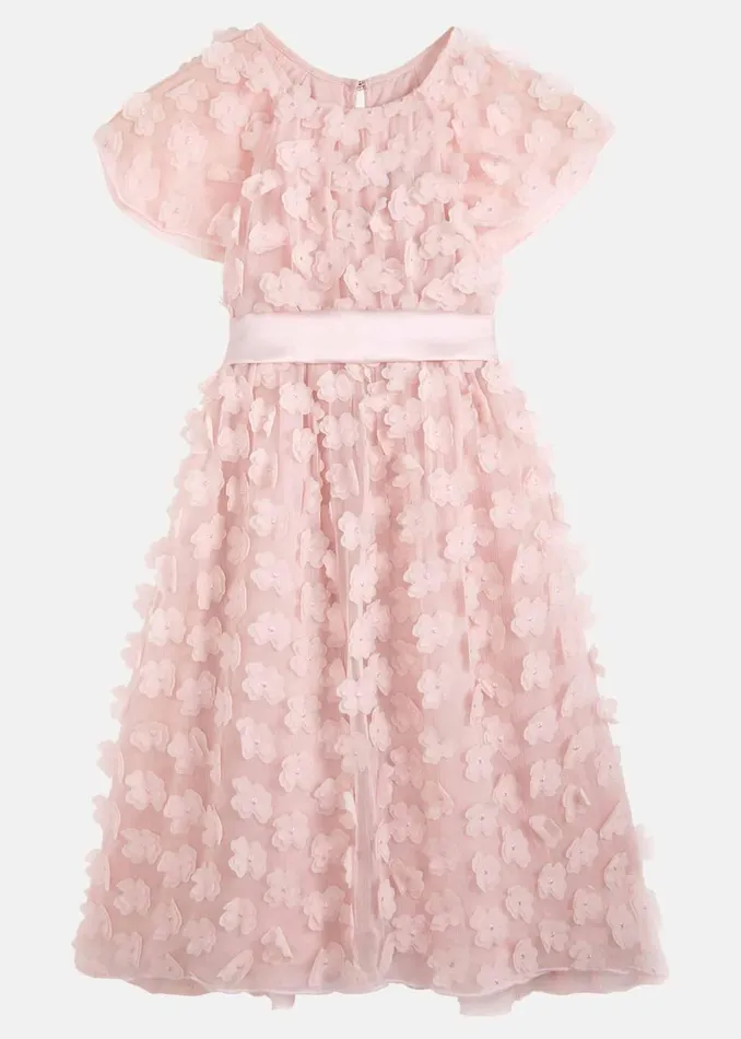 WomenGirls Phase Eight Dresses Alice Flower Fit And Flare Dress
