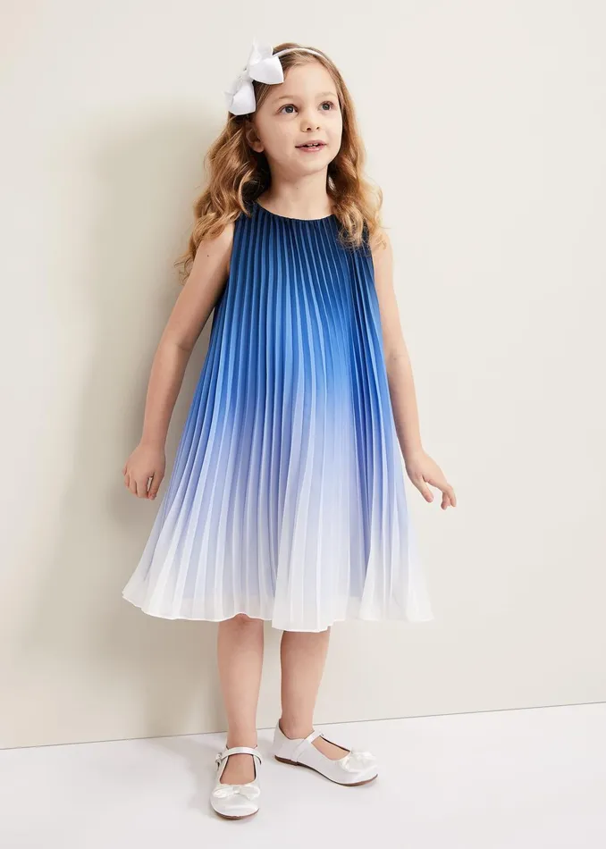 WomenGirls Phase Eight Dresses Jessie Ombre Pleat Dress