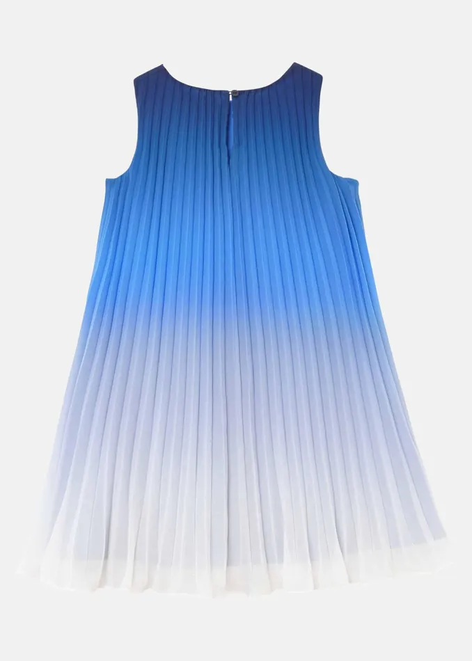 WomenGirls Phase Eight Dresses Jessie Ombre Pleat Dress