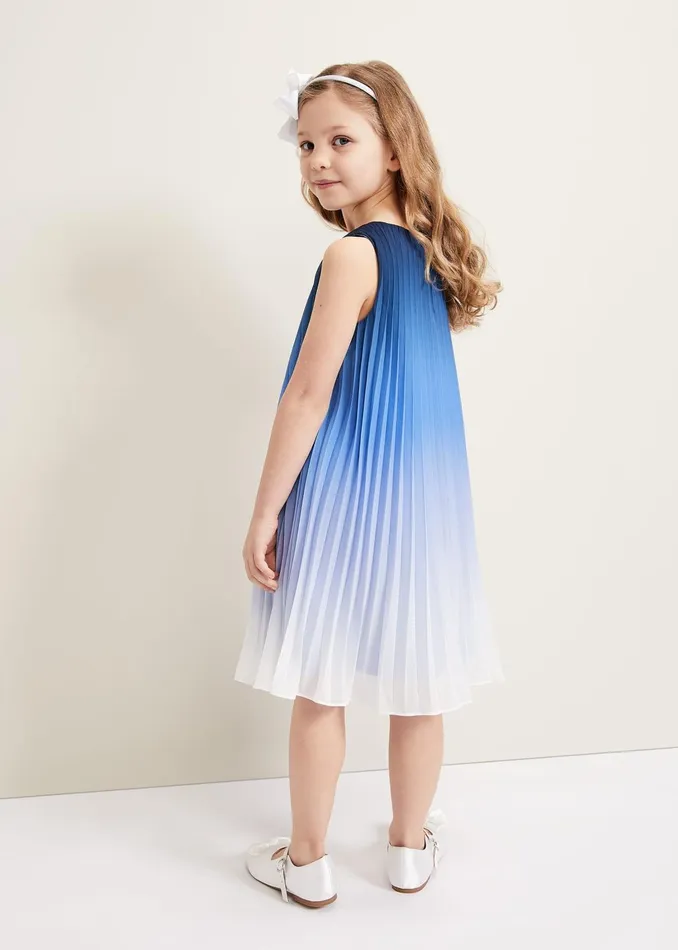 WomenGirls Phase Eight Dresses Jessie Ombre Pleat Dress