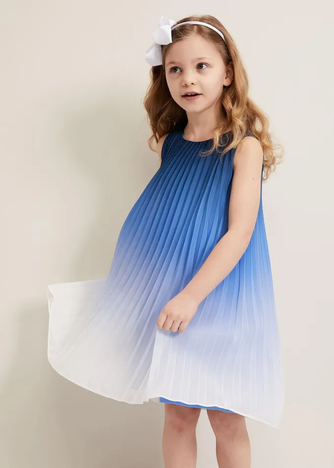 WomenGirls Phase Eight Dresses Jessie Ombre Pleat Dress