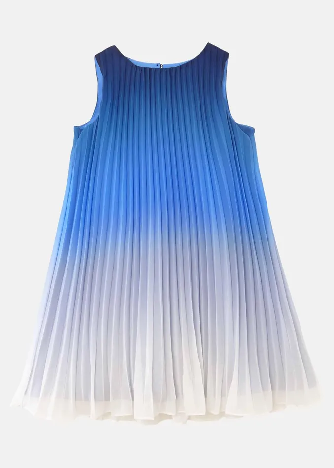 WomenGirls Phase Eight Dresses Jessie Ombre Pleat Dress