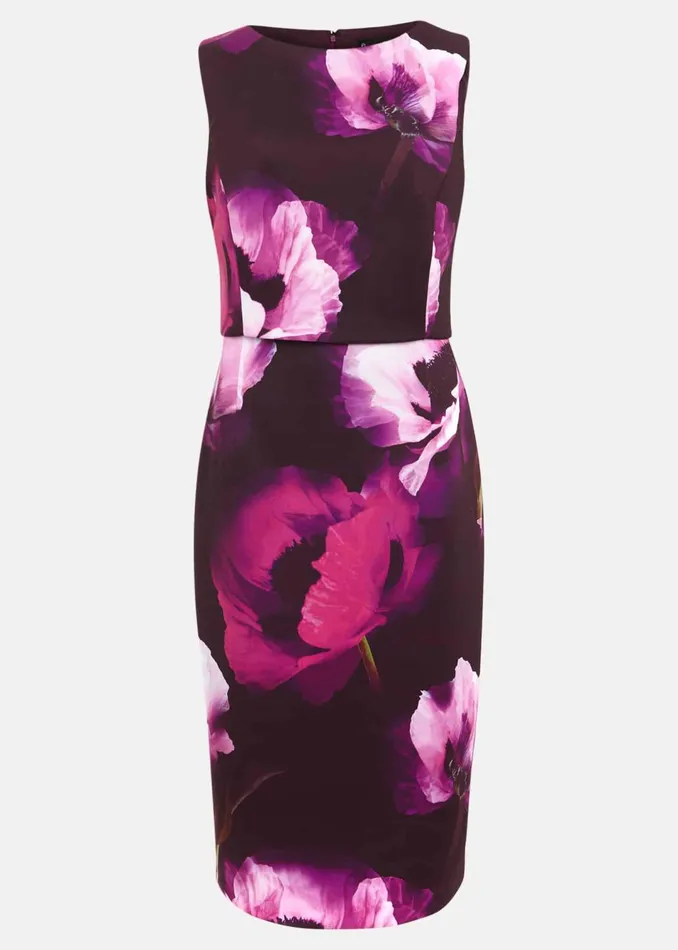 Women Phase Eight Dresses Christie Printed Scuba Midi Dress