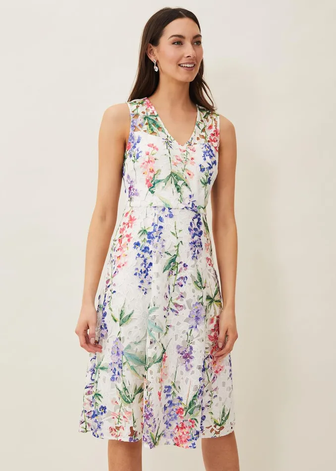 Women Phase Eight Dresses Lonnie Floral Fit And Flare Dress