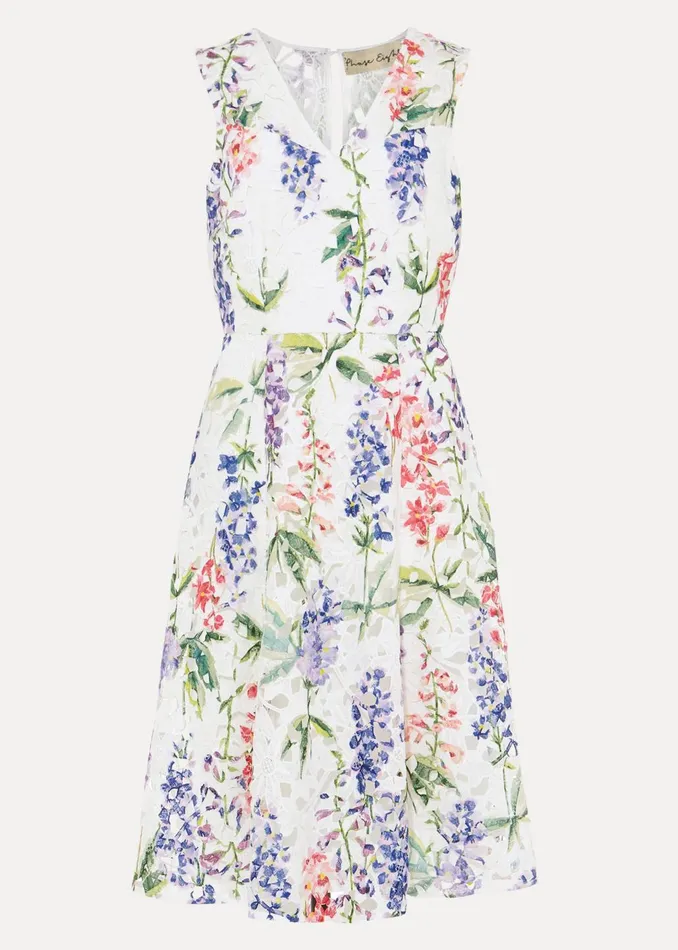 Women Phase Eight Dresses Lonnie Floral Fit And Flare Dress