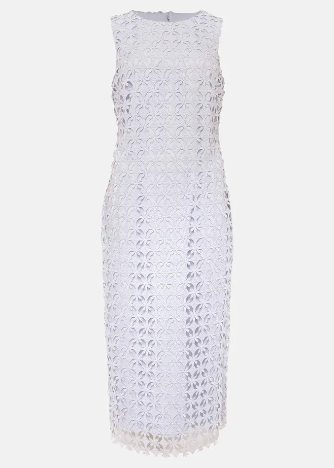 Women Phase Eight Dresses Novah Lace Midi Dress