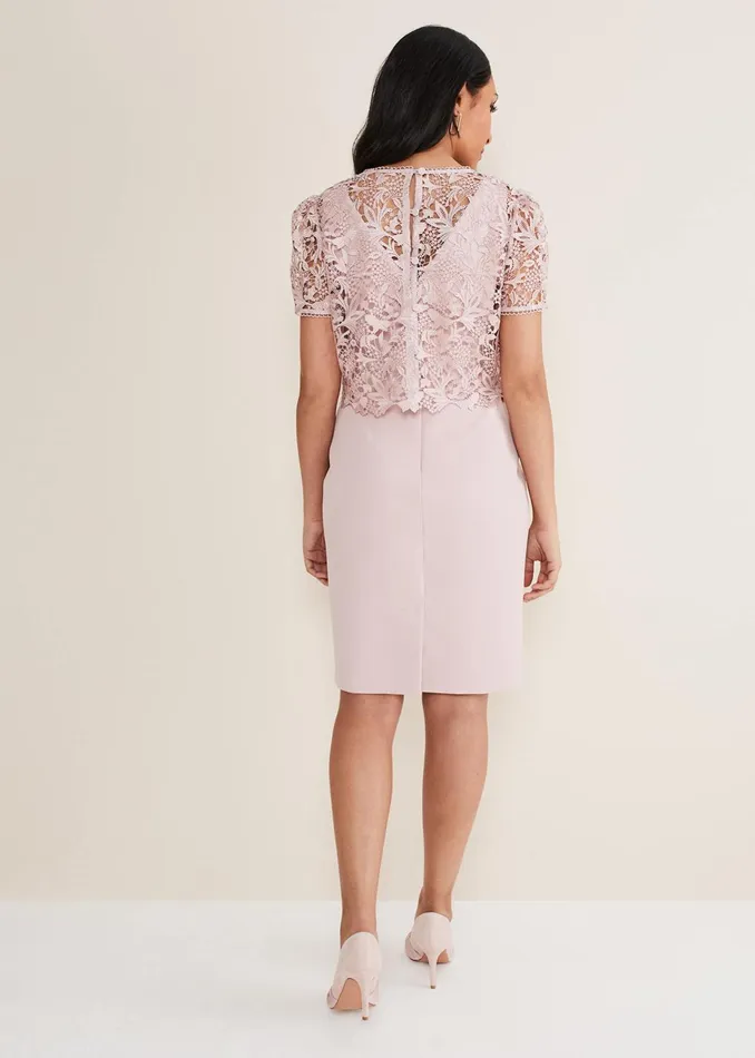 Women Phase Eight Dresses Petite Isabella Lace Midi Dress