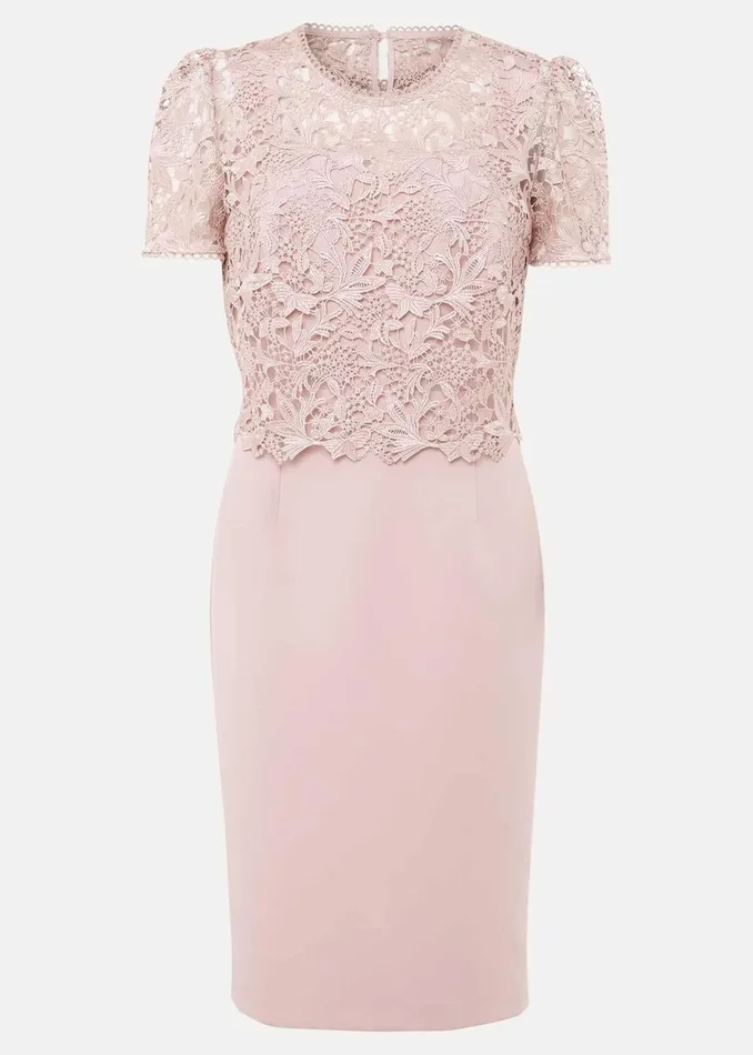 Women Phase Eight Dresses Petite Isabella Lace Midi Dress
