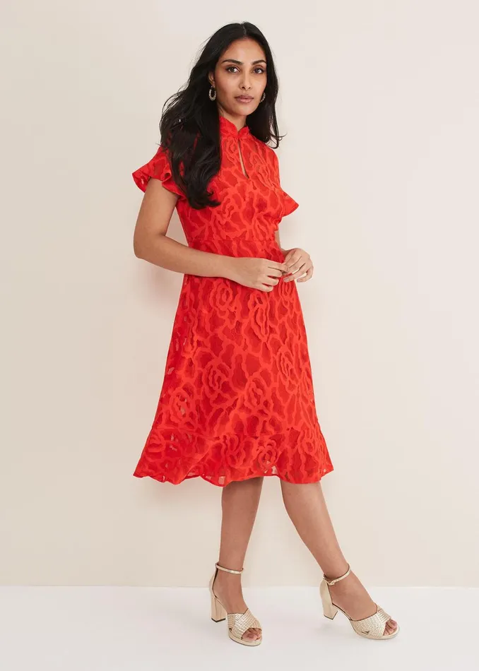 Women Phase Eight Dresses Petite Lulu Lace Midi Dress