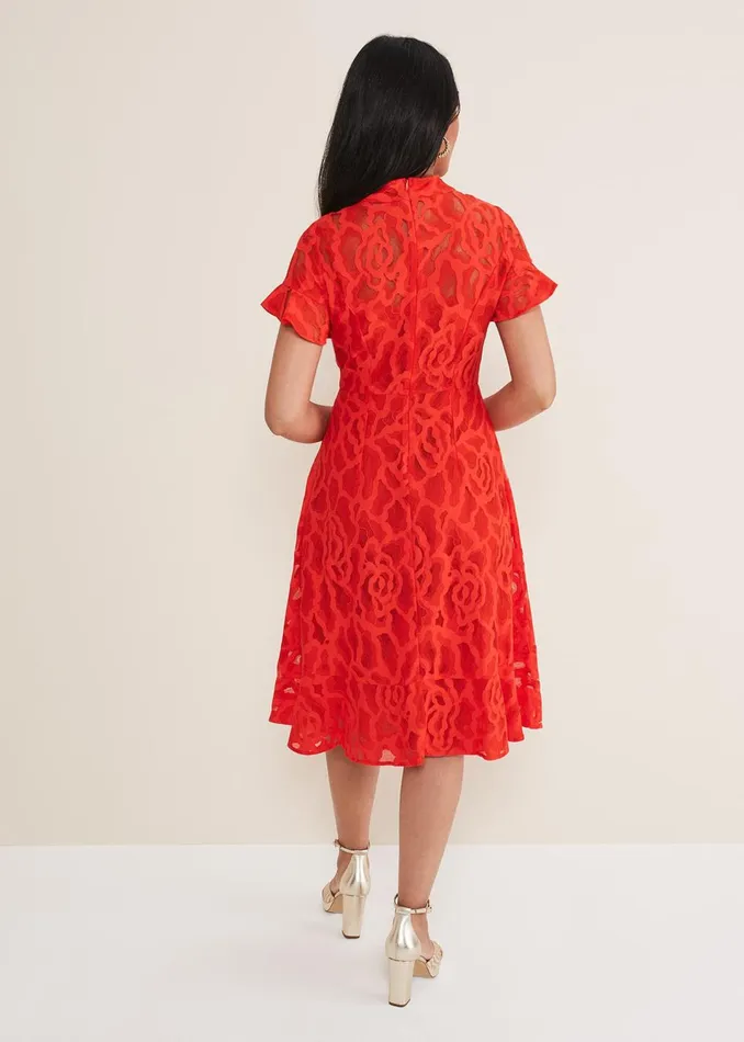 Women Phase Eight Dresses Petite Lulu Lace Midi Dress