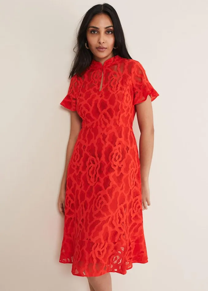 Women Phase Eight Dresses Petite Lulu Lace Midi Dress