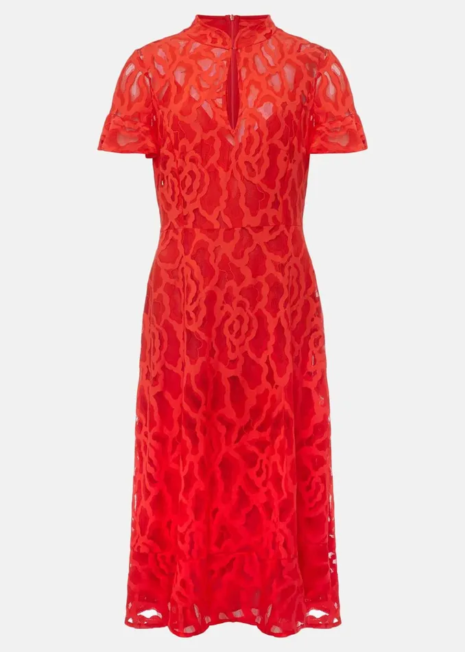 Women Phase Eight Dresses Petite Lulu Lace Midi Dress