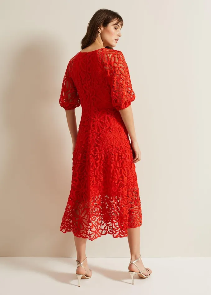 Women Phase Eight Dresses Senna Lace Midi Dress